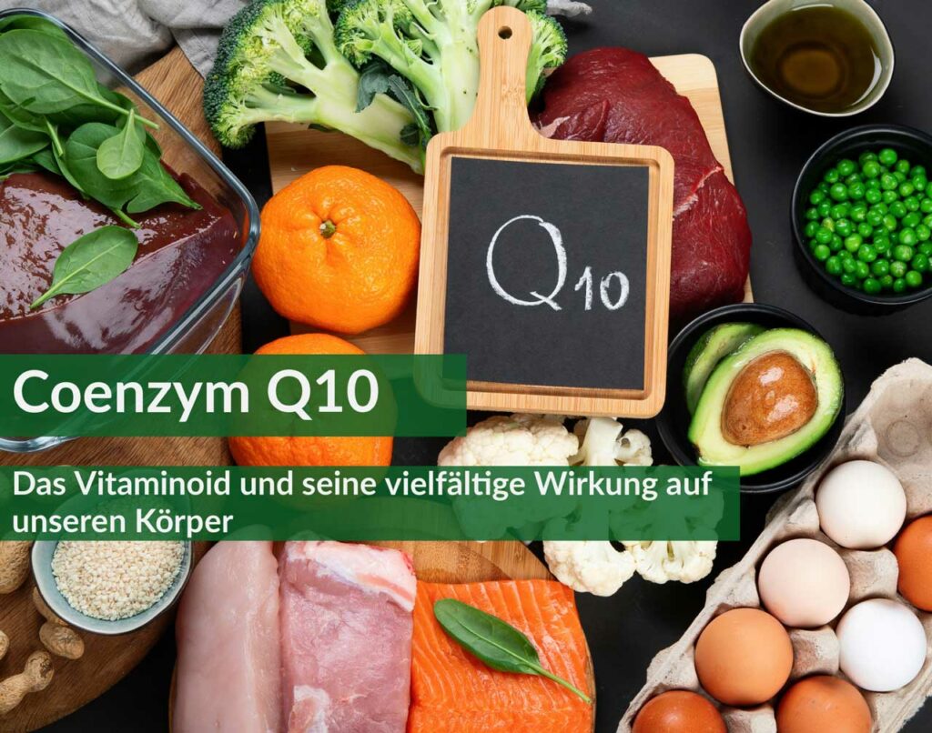 Coenzym Q10: Wirkung, Vorteile und Nahrungsquellen für Gesundheit